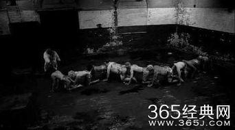 人体蜈蚣3在线观看,惊悚悬疑，揭秘人体极限的恐怖之旅